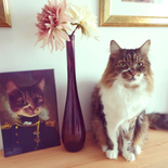 Der Kommandeur - Petfy Portrait Gemälde Tierportrait Hundeportrait Katzenportrait in Kleidung Uniform Anzug historisch klassisch adelig Barock Renaissance Haustierportrait in Kleidung nach Foto Fotovorlage auf Leinwand mit Holzrahmen gedruckt personalisierte Geschenkidee Haustier Haustierbesitzer Hund Katze Pferdeliebhaber Erinnerung Andenken Beileid an verstorbenen Hund Katze Haustier in Kleidung Uniform Haustierkunst Haustiergemälde Haustier gemalt