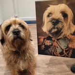 Der Leutnant - Petfy Portrait Gemälde Tierportrait Hundeportrait Katzenportrait in Kleidung Uniform Anzug historisch klassisch adelig Barock Renaissance Haustierportrait in Kleidung nach Foto Fotovorlage auf Leinwand mit Holzrahmen gedruckt personalisierte Geschenkidee Haustier Haustierbesitzer Hund Katze Pferdeliebhaber Erinnerung Andenken Beileid an verstorbenen Hund Katze Haustier in Kleidung Uniform Haustierkunst Haustiergemälde Haustier gemalt